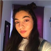 Apoyo Educativo Nivel Primaria y ESO en matemáticas, biología y Frances